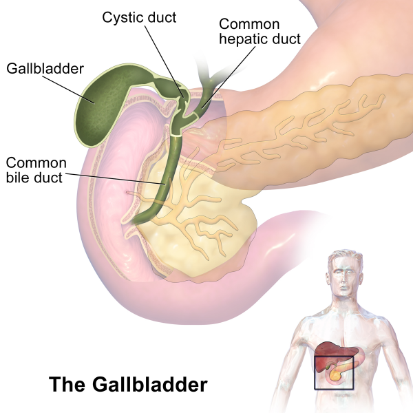 Gall Bladder Surgery