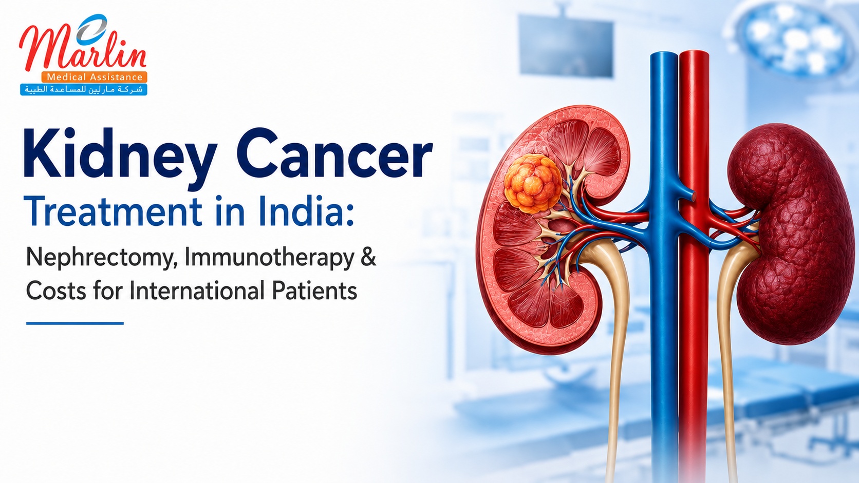 Kidney Cancer Treatment in India: Nephrectomy, Immunotherapy & Costs for International Patients Kidney Cancer Treatment in India: Nephrectomy, Immunotherapy & Costs for International Patients