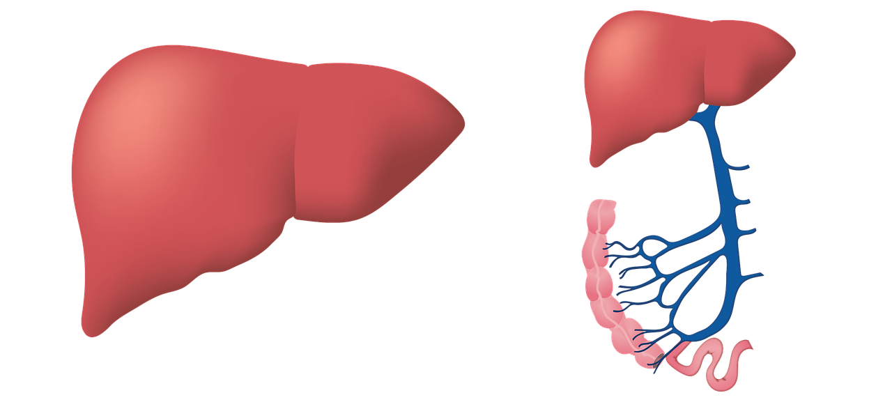 Two important facts about Liver Transplant in India