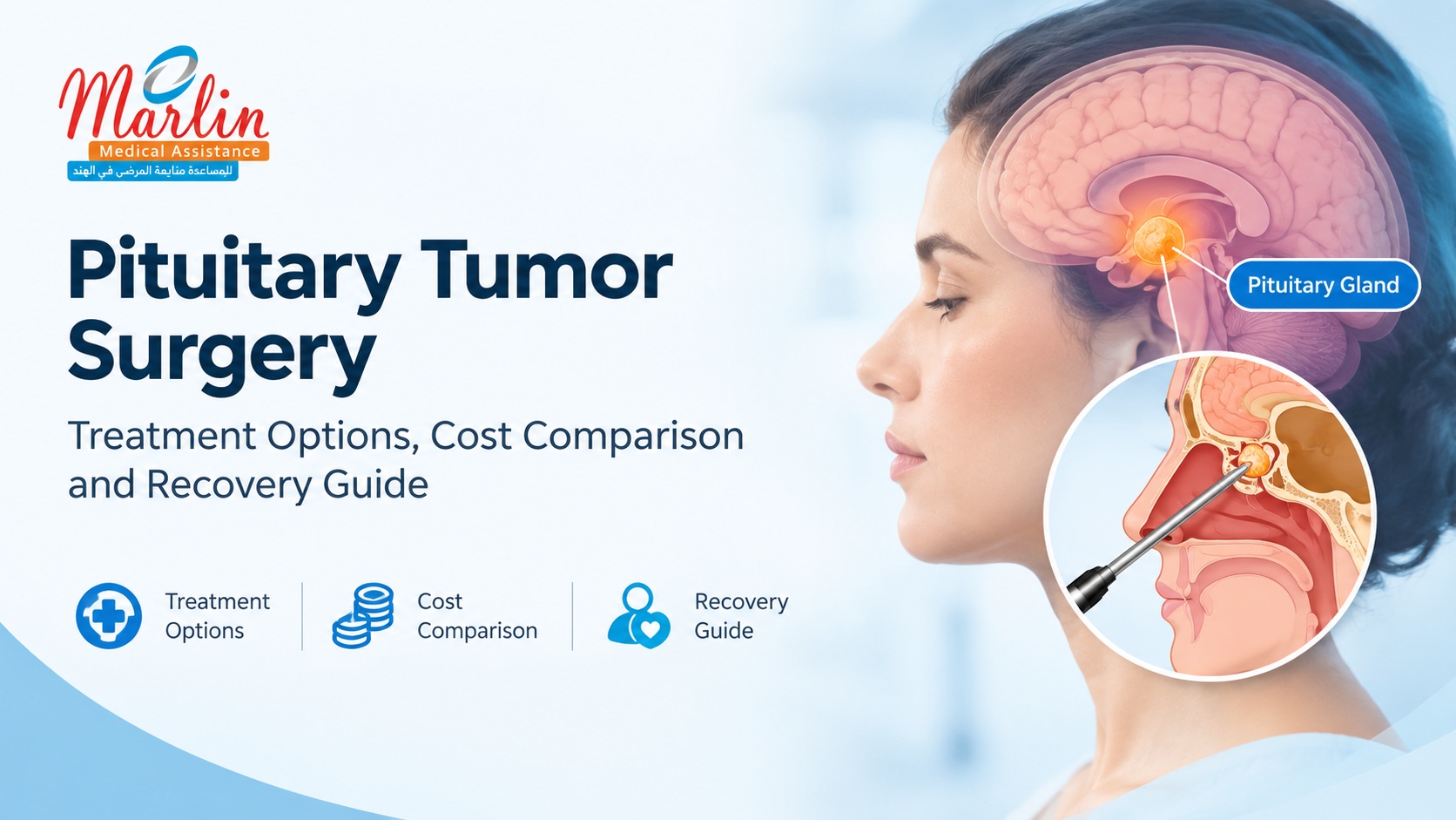 Pituitary Tumor Surgery in India: Endoscopic Transsphenoidal Surgery Cost & Patient Guide