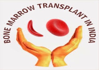 Bone Marrow Transplant (BMT)